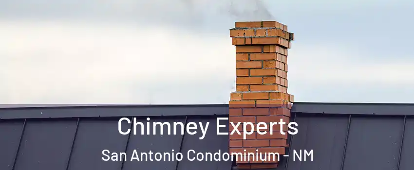 Chimney Experts San Antonio Condominium - NM