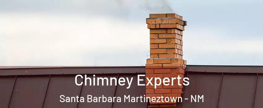 Chimney Experts Santa Barbara Martineztown - NM