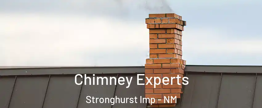Chimney Experts Stronghurst Imp - NM