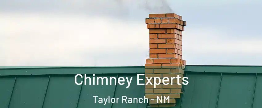 Chimney Experts Taylor Ranch - NM
