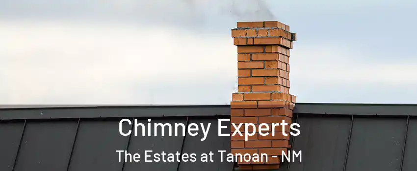 Chimney Experts The Estates at Tanoan - NM