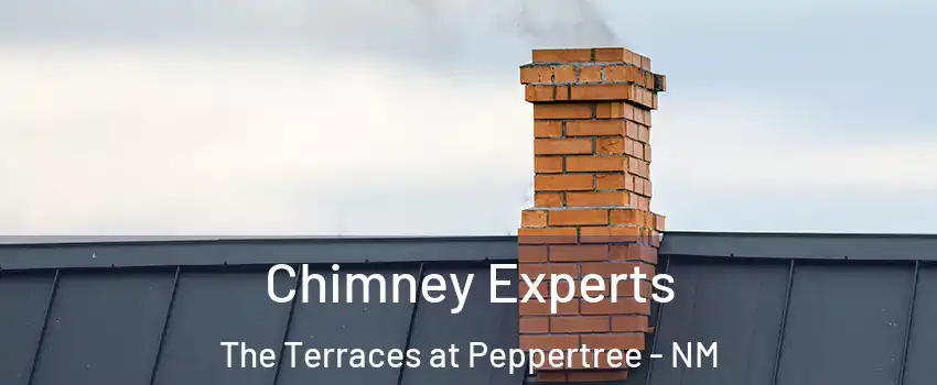 Chimney Experts The Terraces at Peppertree - NM