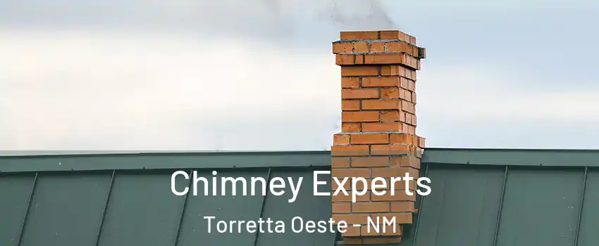 Chimney Experts Torretta Oeste - NM