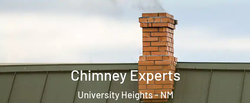 Chimney Experts University Heights - NM