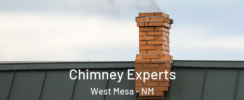 Chimney Experts West Mesa - NM