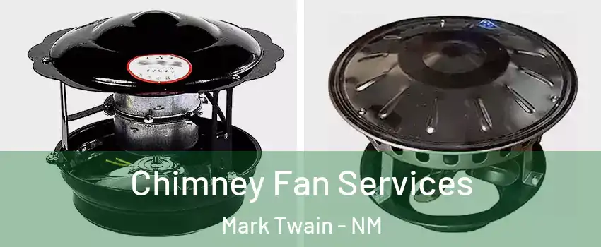 Chimney Fan Services Mark Twain - NM