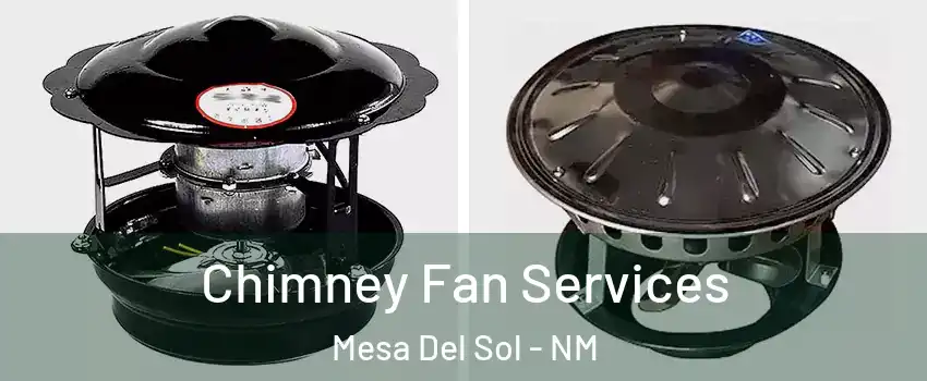 Chimney Fan Services Mesa Del Sol - NM