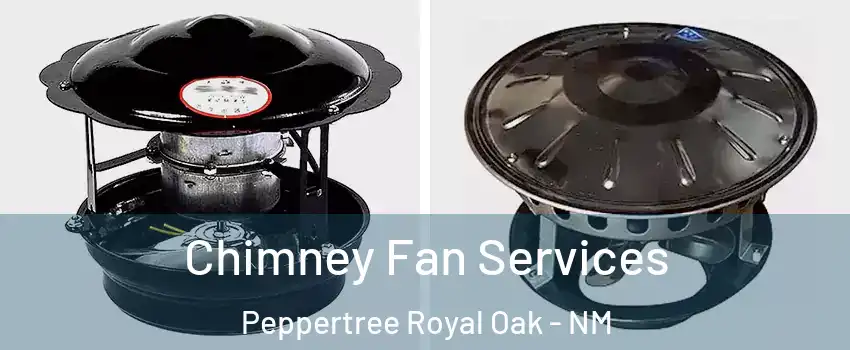 Chimney Fan Services Peppertree Royal Oak - NM