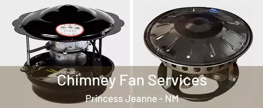 Chimney Fan Services Princess Jeanne - NM