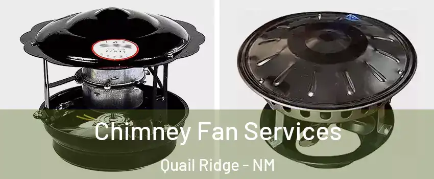Chimney Fan Services Quail Ridge - NM