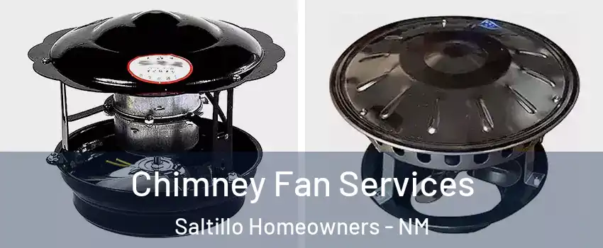Chimney Fan Services Saltillo Homeowners - NM
