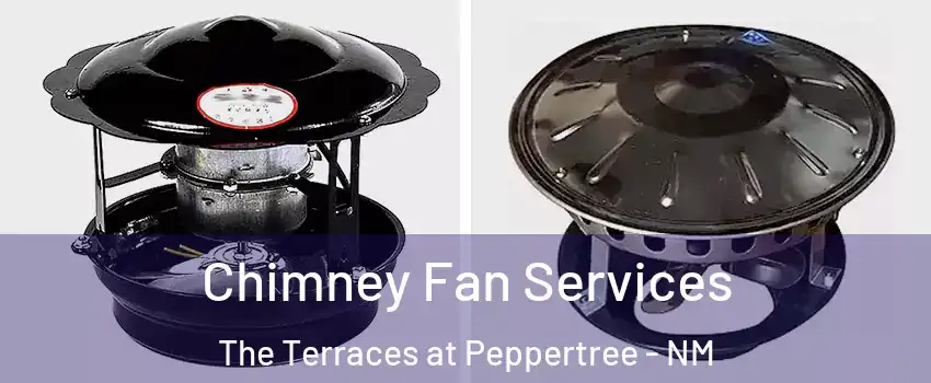 Chimney Fan Services The Terraces at Peppertree - NM