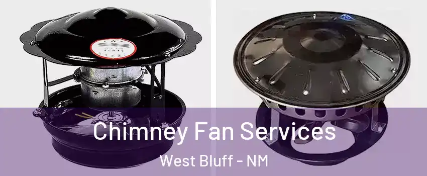 Chimney Fan Services West Bluff - NM