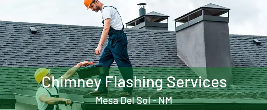 Chimney Flashing Services Mesa Del Sol - NM