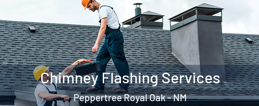 Chimney Flashing Services Peppertree Royal Oak - NM