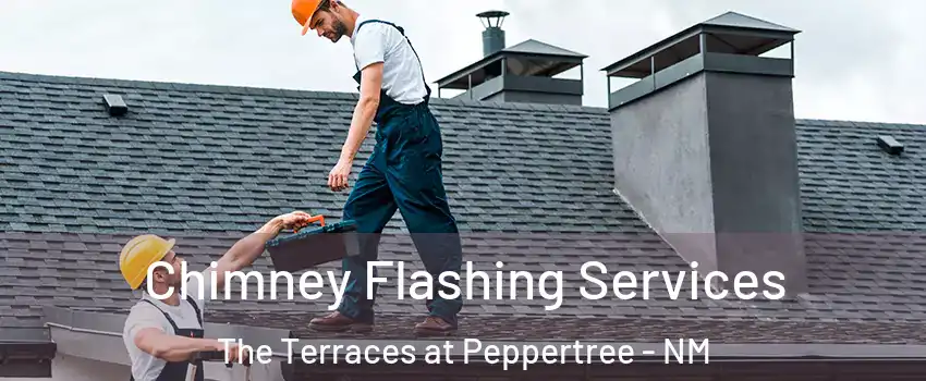 Chimney Flashing Services The Terraces at Peppertree - NM