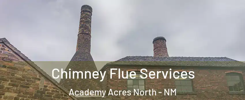 Chimney Flue Services Academy Acres North - NM