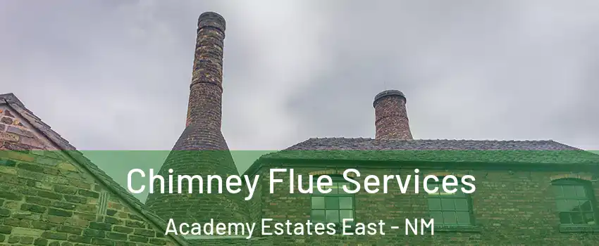 Chimney Flue Services Academy Estates East - NM