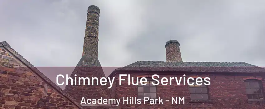 Chimney Flue Services Academy Hills Park - NM