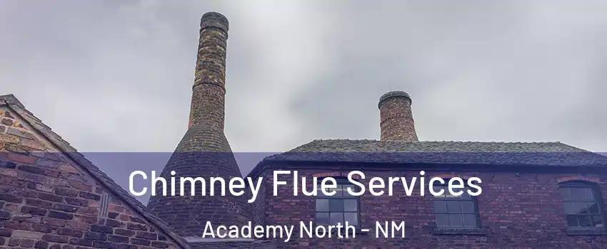 Chimney Flue Services Academy North - NM