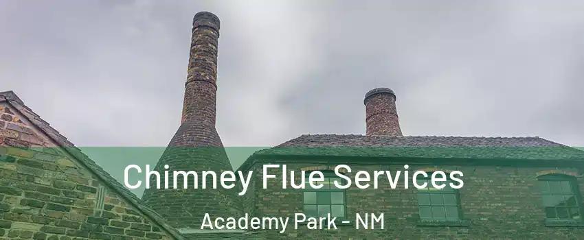 Chimney Flue Services Academy Park - NM