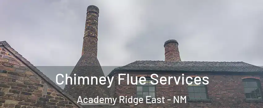 Chimney Flue Services Academy Ridge East - NM
