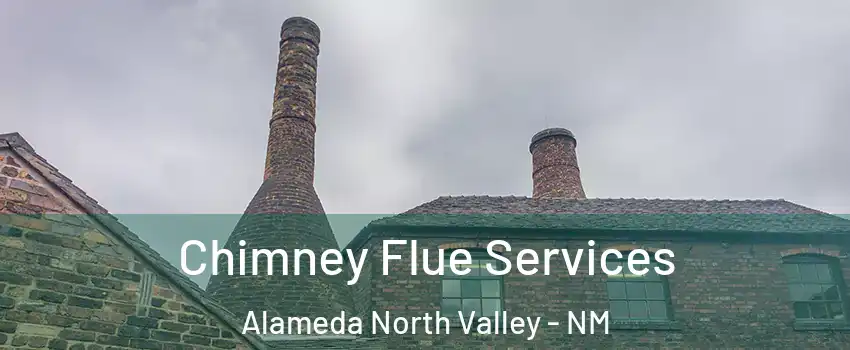 Chimney Flue Services Alameda North Valley - NM