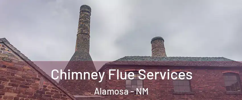 Chimney Flue Services Alamosa - NM