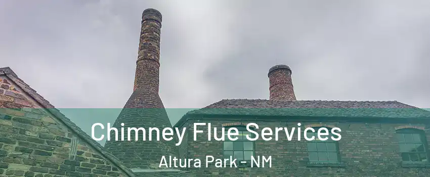Chimney Flue Services Altura Park - NM