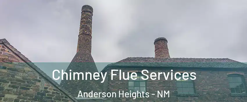 Chimney Flue Services Anderson Heights - NM