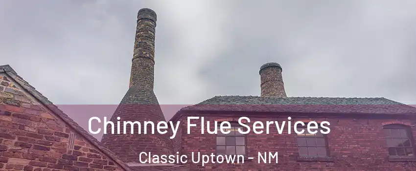 Chimney Flue Services Classic Uptown - NM