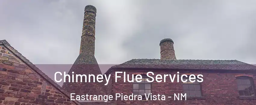 Chimney Flue Services Eastrange Piedra Vista - NM