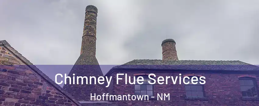 Chimney Flue Services Hoffmantown - NM