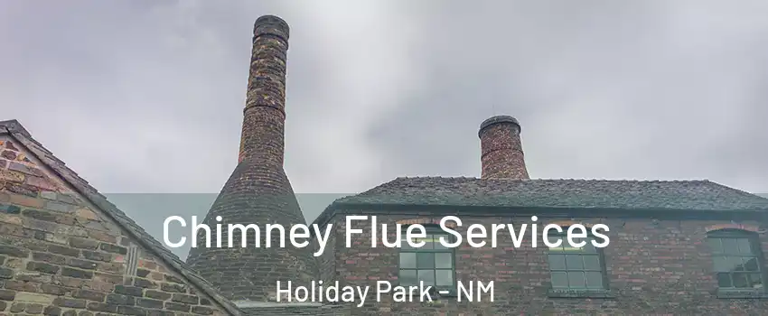 Chimney Flue Services Holiday Park - NM