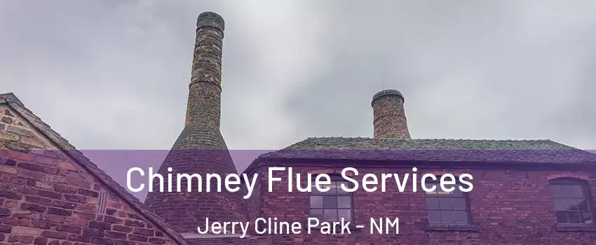 Chimney Flue Services Jerry Cline Park - NM