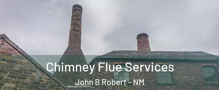 Chimney Flue Services John B Robert - NM