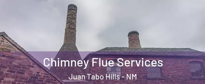 Chimney Flue Services Juan Tabo Hills - NM