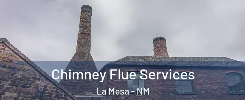 Chimney Flue Services La Mesa - NM