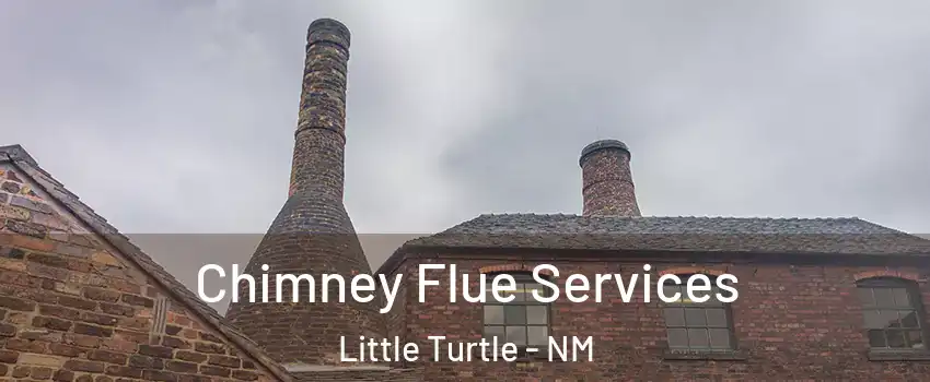 Chimney Flue Services Little Turtle - NM