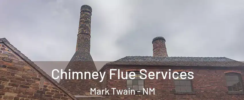 Chimney Flue Services Mark Twain - NM