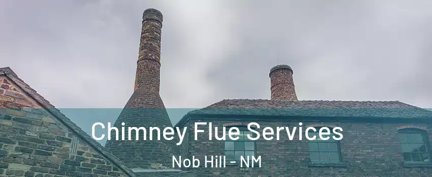 Chimney Flue Services Nob Hill - NM