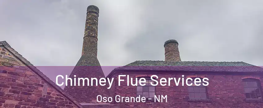 Chimney Flue Services Oso Grande - NM