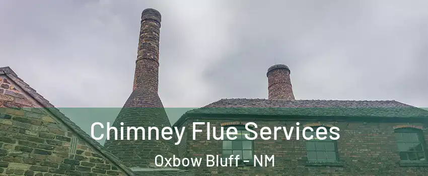 Chimney Flue Services Oxbow Bluff - NM