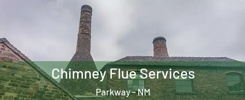 Chimney Flue Services Parkway - NM
