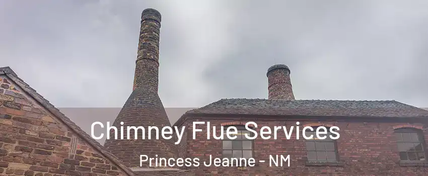 Chimney Flue Services Princess Jeanne - NM