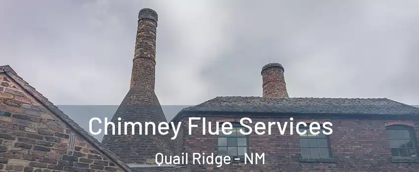 Chimney Flue Services Quail Ridge - NM