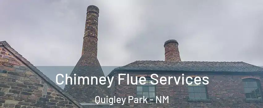 Chimney Flue Services Quigley Park - NM