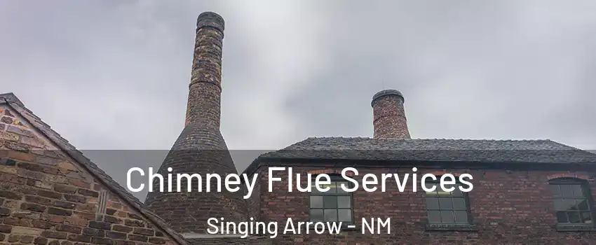 Chimney Flue Services Singing Arrow - NM