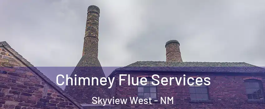 Chimney Flue Services Skyview West - NM