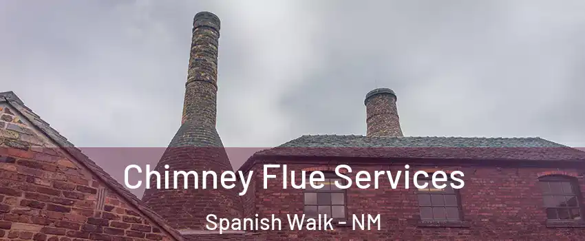 Chimney Flue Services Spanish Walk - NM